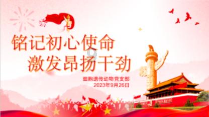 蛇蛇争霸